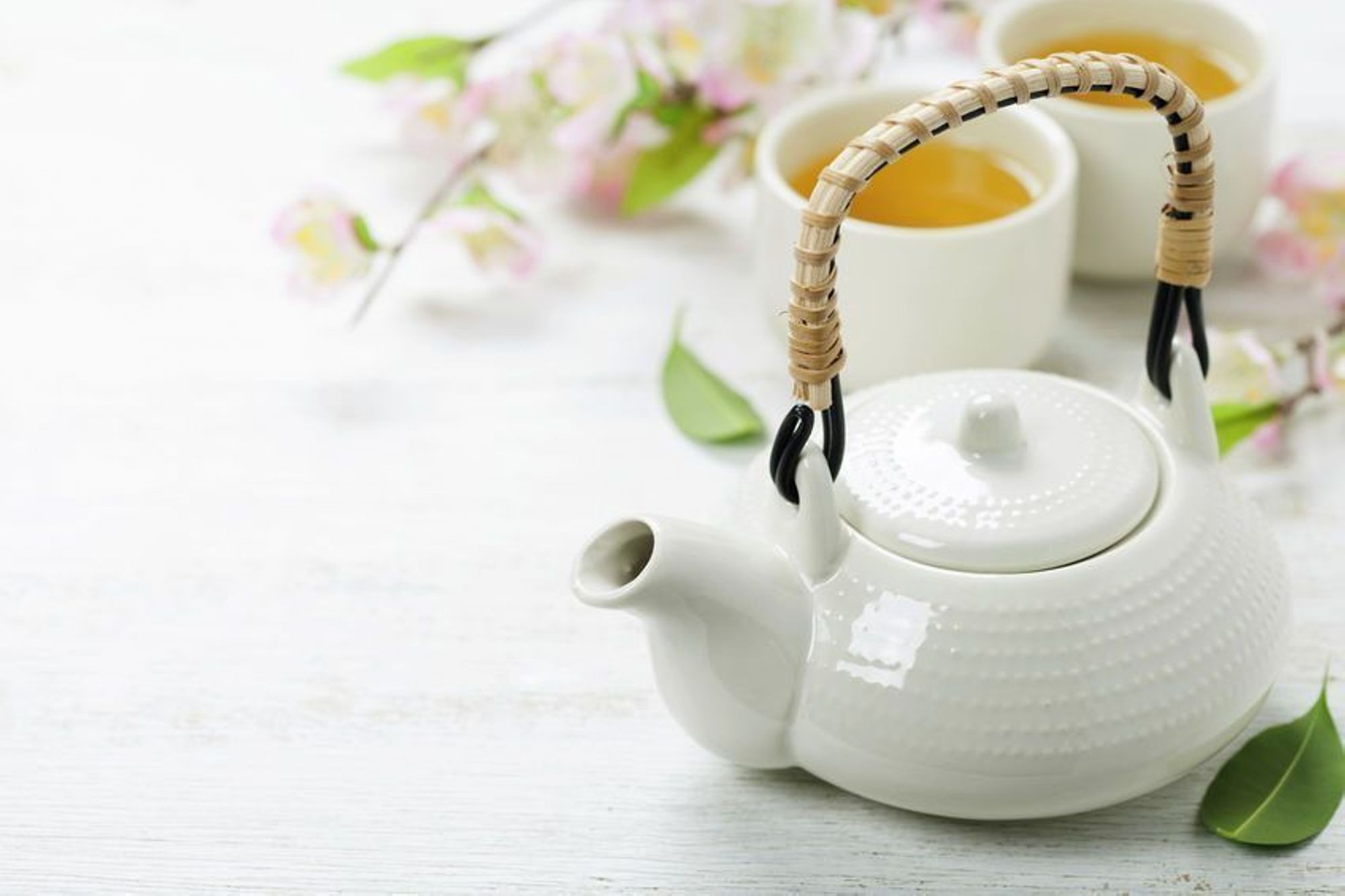 Thé santé 2023 sur les données probantes 