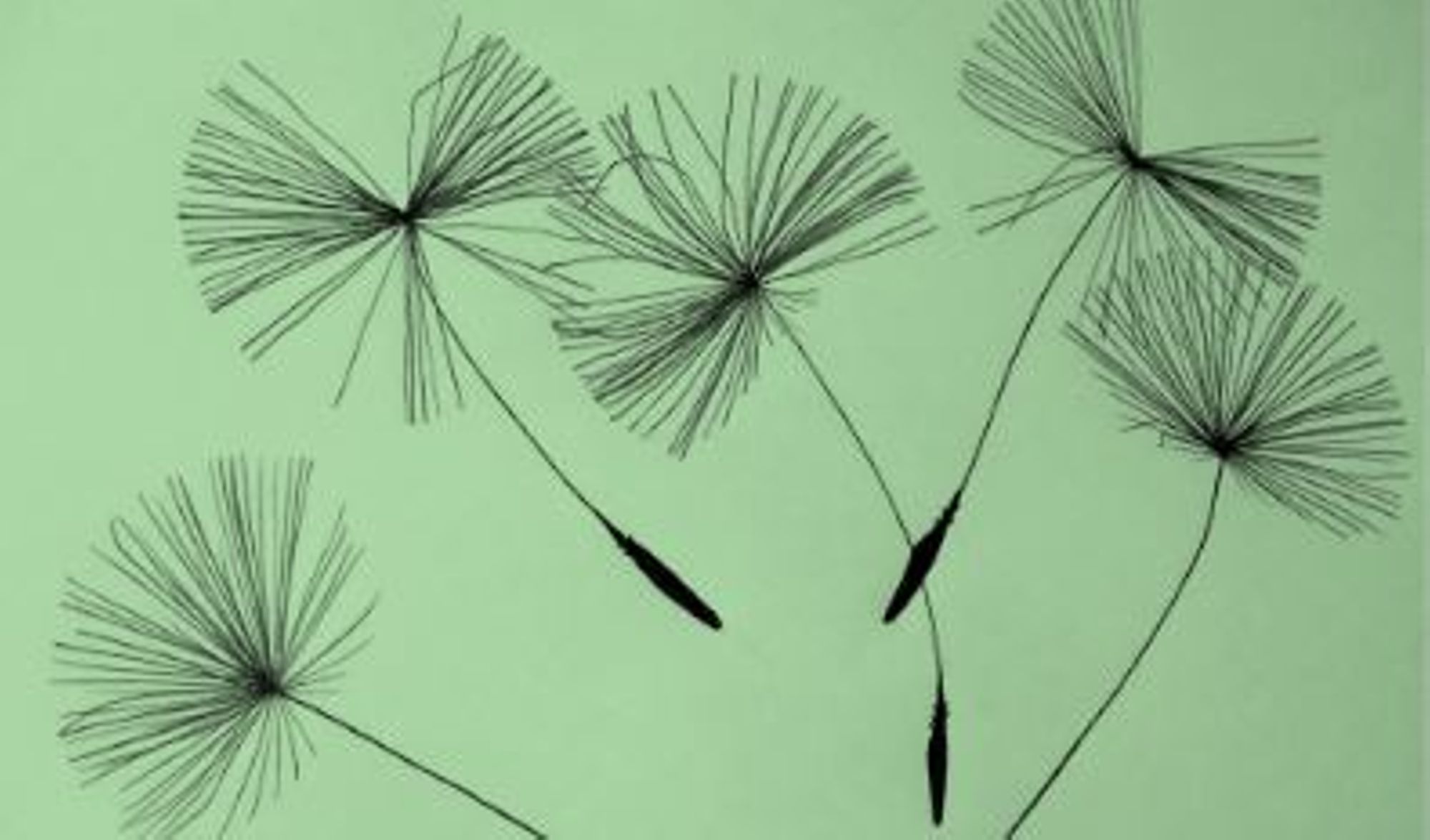 Personnes en situation de précarité / vulnérabilité : comment rendre accessible et favoriser leur participation aux programmes d'ETP ?