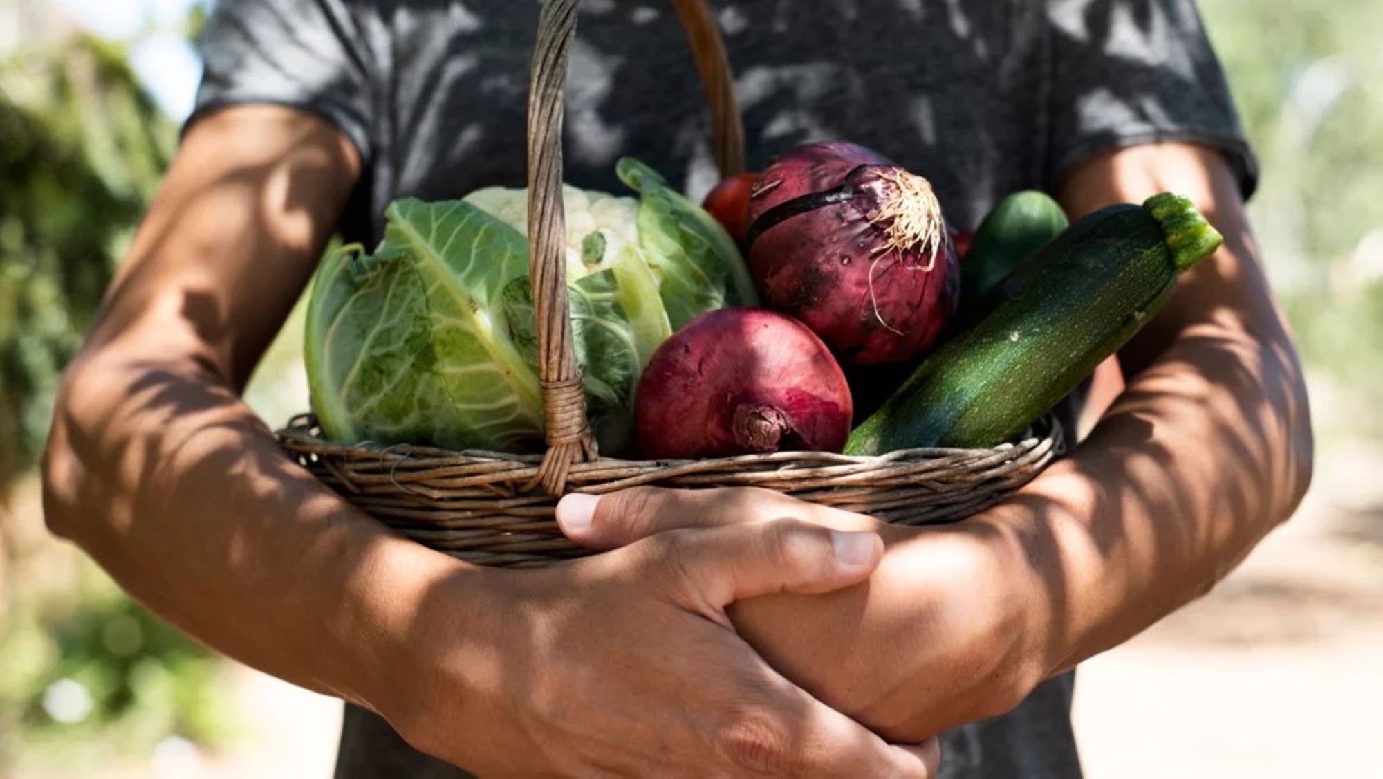 Mieux manger pour tous : deux webinaires sur l'alimentation durable en 2025 